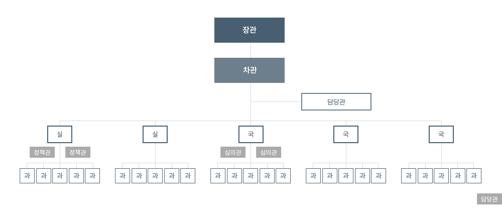 장관,차관,실,국, 담당관 하위에 과로 구성되며,정책관,심의관,담당관 등이 있는 조직 예시 도표